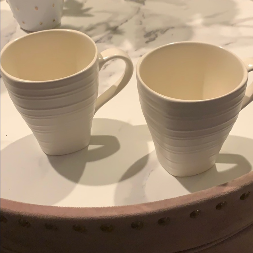 2 Mikasa Cups